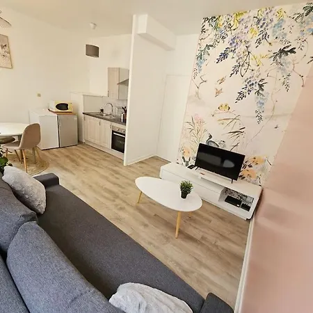 Studio Terrasse Hypercentre Wifi Tv * Saint-Etienne (Loire)