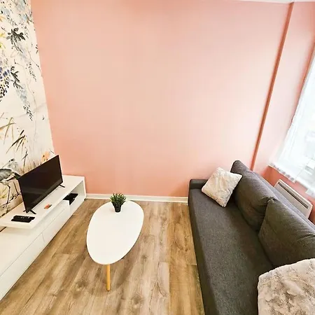 Apartment Studio Terrasse Hypercentre Wifi Tv Saint-Etienne (Loire)
