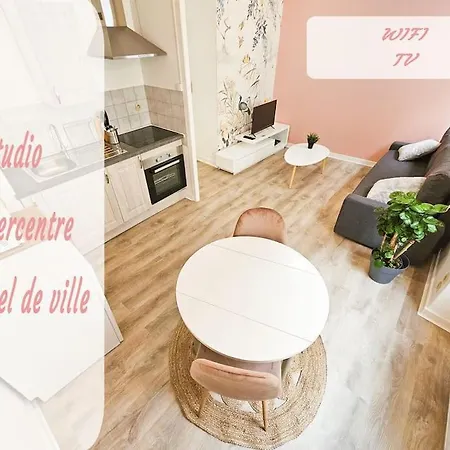 Studio Terrasse Hypercentre Wifi Tv